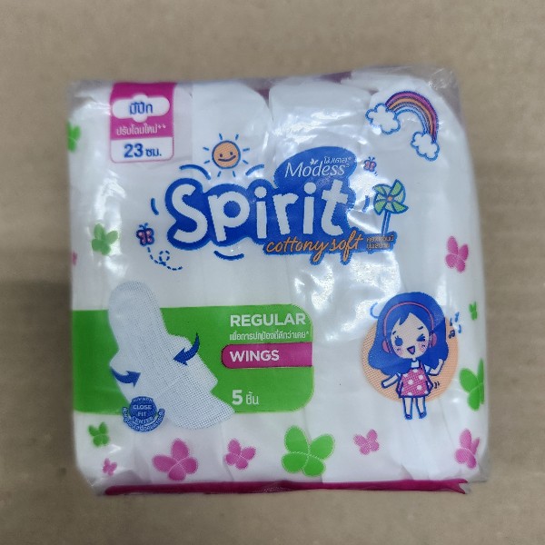 โมเดสสปิริต  5 ชิ้น  มีปีก